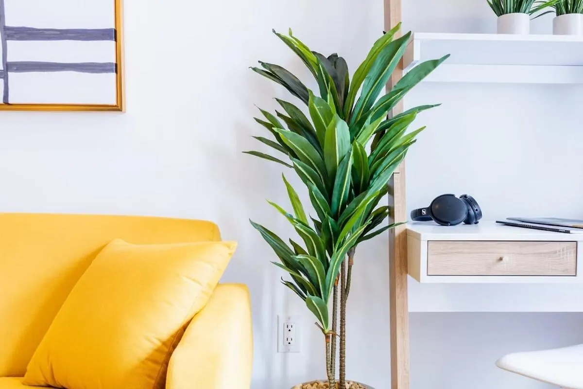 69-5C Festive Comfort Brand New 1Br Lower East Side Christmas Ready 뉴욕 아파트